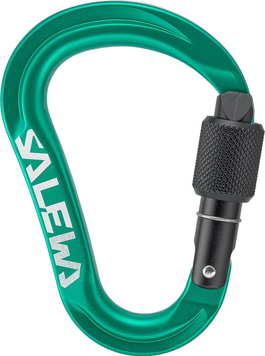 Salewa Ortles Hms S Carabiner