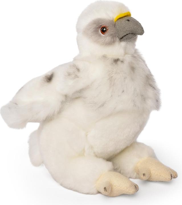 Image du produit Living Nature Poussin de pygargue à tête blanche (15 cm)