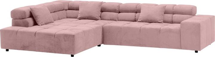 Cat. 6, Matrix pink