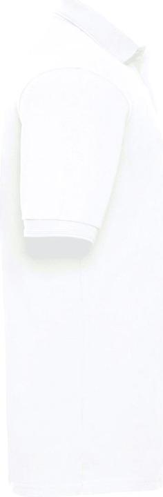 Actual product image Russell Rib polo shirt short sleeve (4XL)
