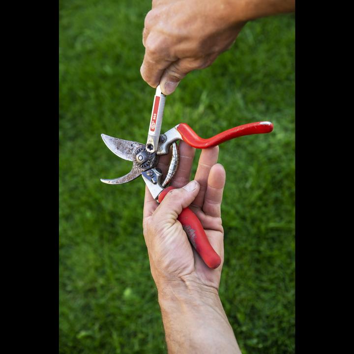 Actual product image Felco 905