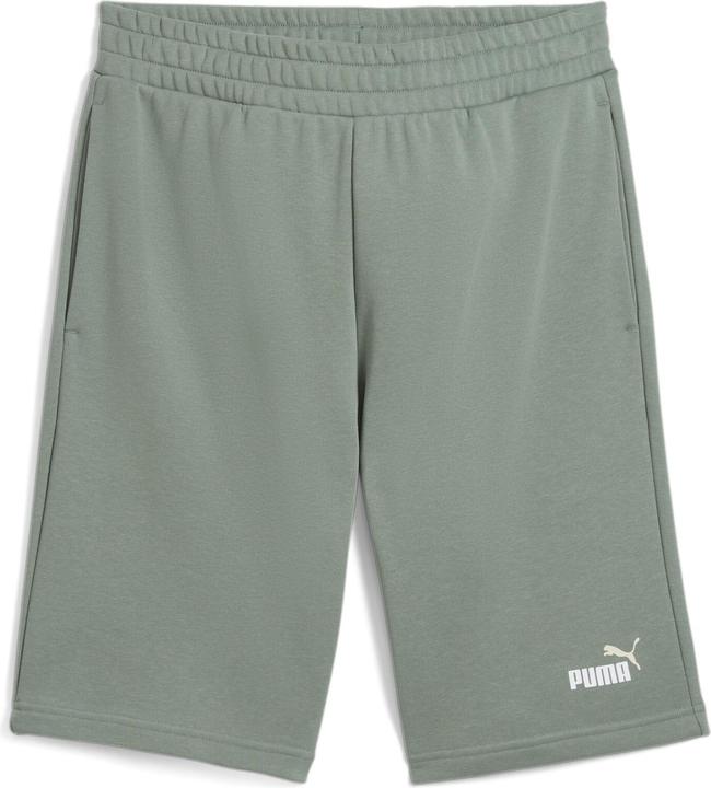 Produktbild Puma ESS 2 COLOR No. 1 Logo Shorts 10" TR (M)