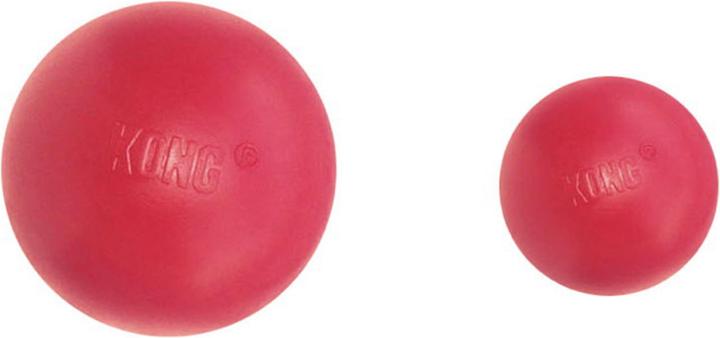 Image du produit KONG Ballon (Jouet à balle chien)