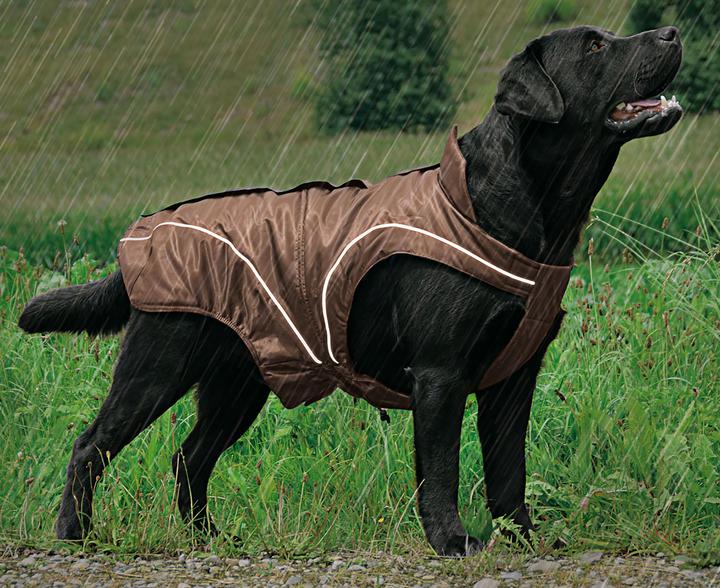 Image du produit Swisspet Veste d'hiver Climaro (25, Manteau pour chien)