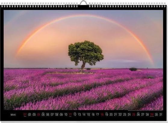Actual product image Rainbow Premium Calendar 2025 (60 x 42 cm, German)