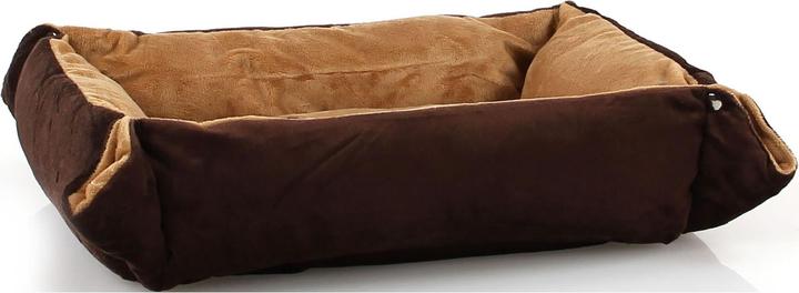 Brun foncé, Marron
