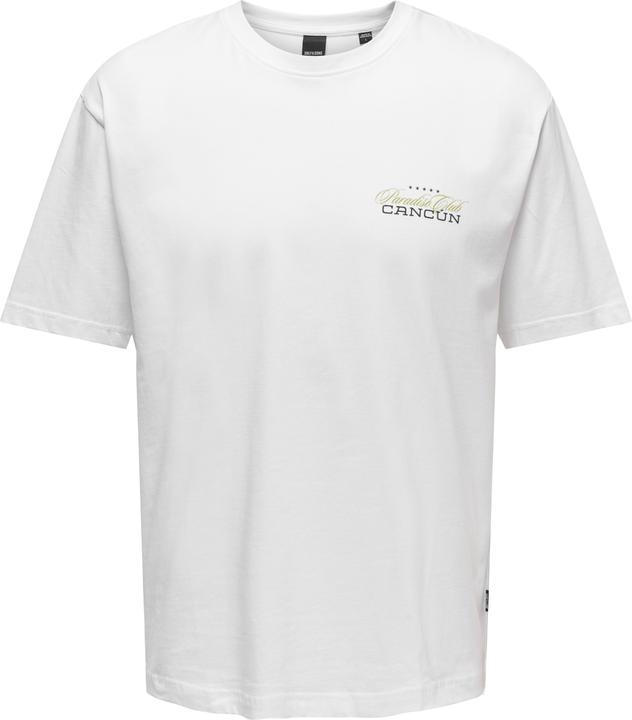 Only & Sons Onskeane Rlx Ss Print Tee Noos (S)