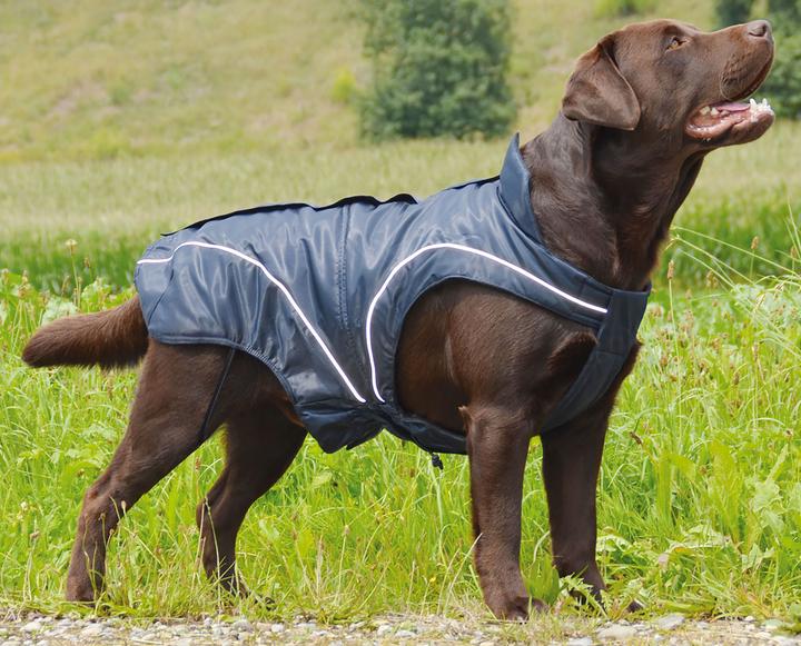 Immagine prodotto Swisspet Giacca invernale Climaro (60, Gilet per cani)