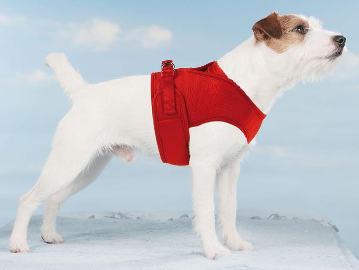 Produktbild Swisspet Hundegeschirr Mesh (XS, Hund, Allgemein)