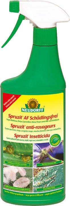 Immagine prodotto Neudorff Spruzit AF senza parassiti (Fragore, Acari del ragno rosso, Bianco mosche, Microspie mealy, Cocciniglie, Afidi)