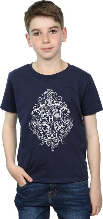 Actual product image Boys Hogwarts Draco Dormiens Crest T-Shirt (116)