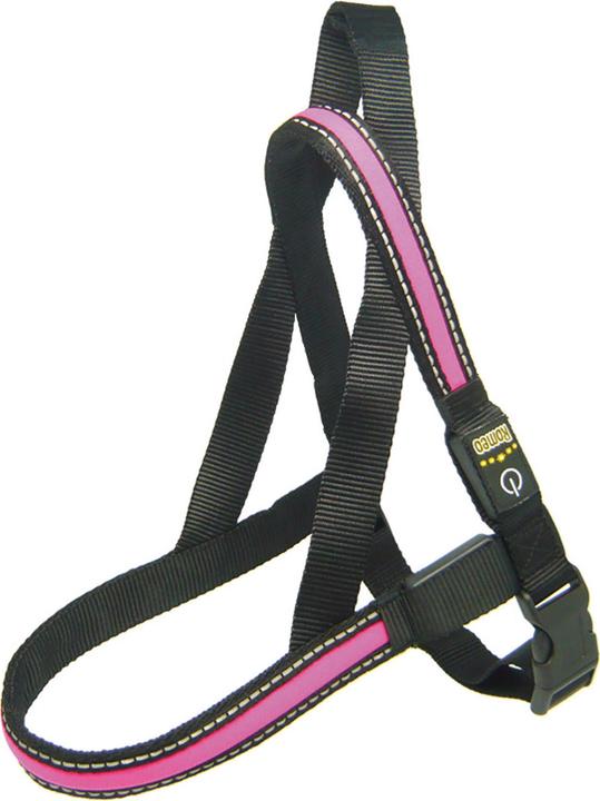 Immagine prodotto Swisspet Stoviglie fluorescenti Fluo (L, Cane)