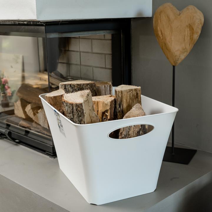 Actual product image Rotho Livingbox (32 x 26 x 43 cm, 24 l)
