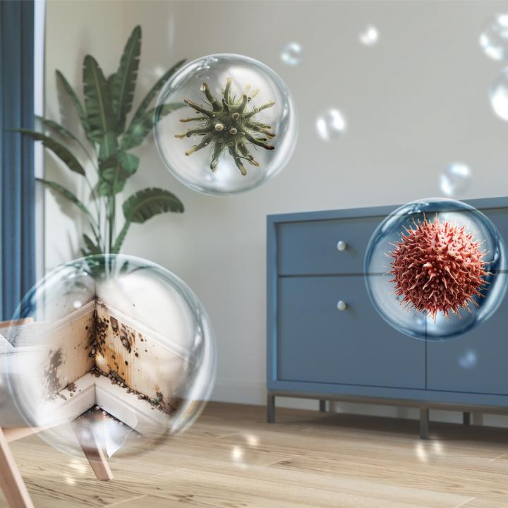 Actual product image Philips DE5305/11 (26.50 l/24h)