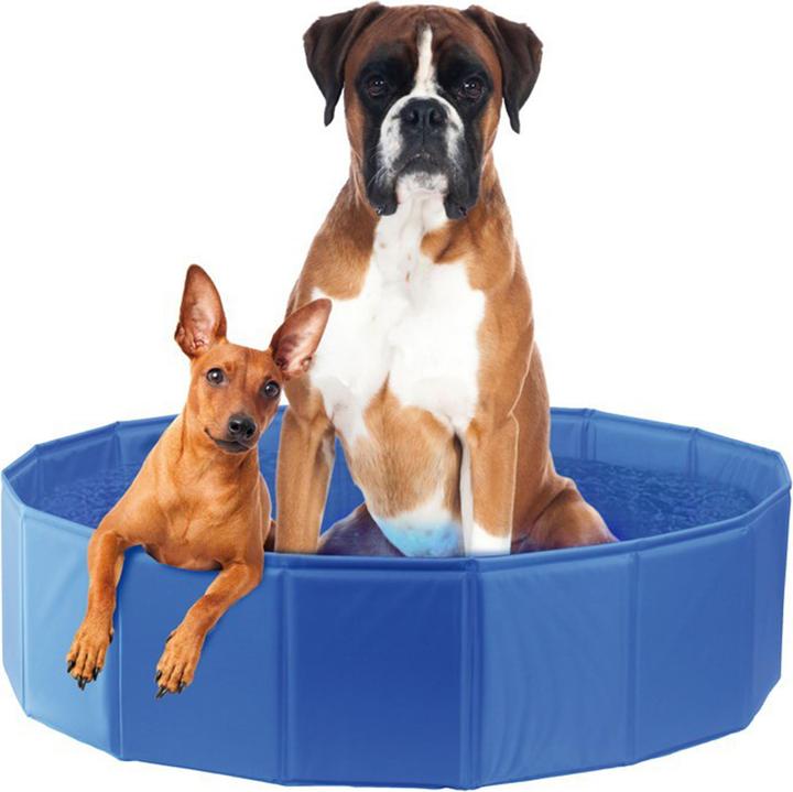 Swisspet Hundepool Planchi (Hundepool)
