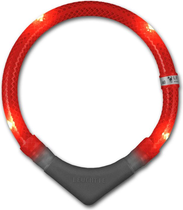 Immagine prodotto Leuchtie Collare Illuminato Plus (XL, Cane, Passeggiare, Lavoro)