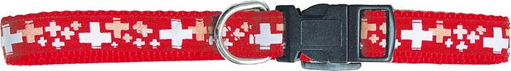 Immagine prodotto Swisspet Collana riflettente (S, Cane, Passeggiare, Generale)