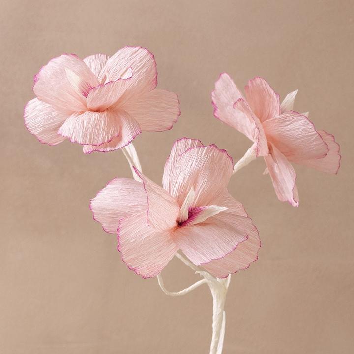 Produktbild Creativ Company Craft Kit - Crepe Paper - Flower Pastel colours (977666)