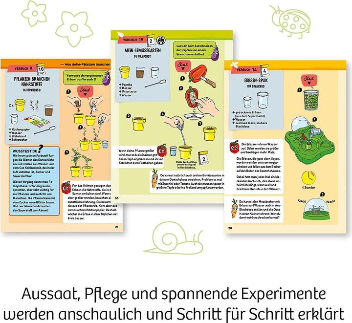 Image du produit Kosmos Ma première serre