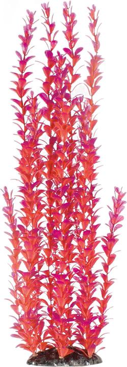 Actual product image Amazonas Plastic plant (Cave, Flora)