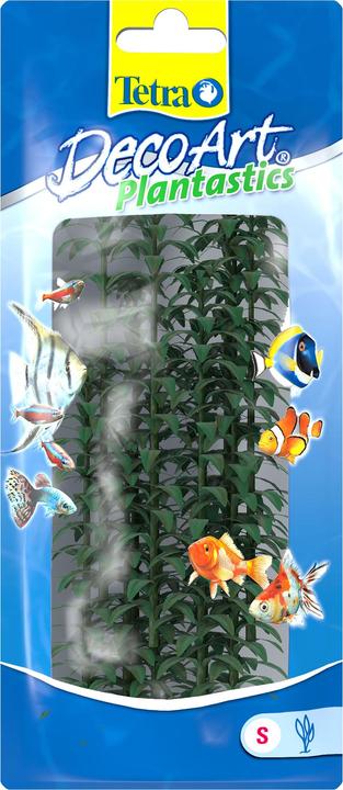 Image du produit Tetra Plantastics Plus Hygrophilie (Plantes, Plantes)