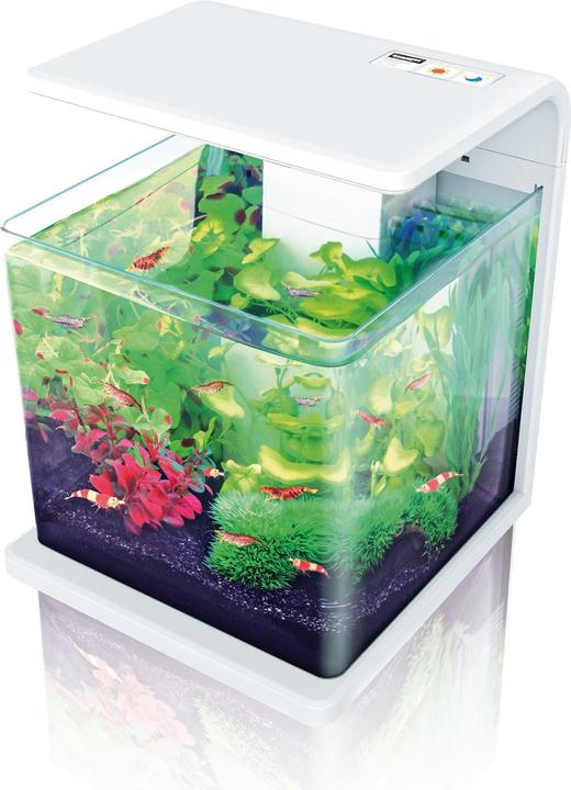 Immagine prodotto Amazonas Trasformatore di ricambio
