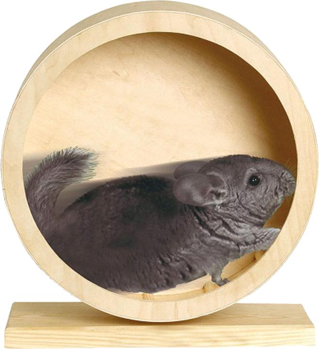 Immagine prodotto Copacabana Ruota per criceti Roundy da