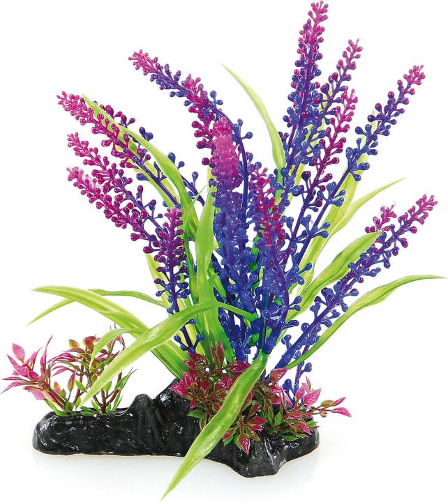 Immagine prodotto Amazonas Pianta fantasia 20cm (Piante, Piante)