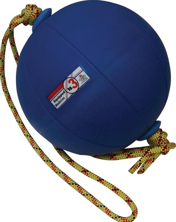 Image du produit Trial Balles à lanière (3 kg, 240 mm)