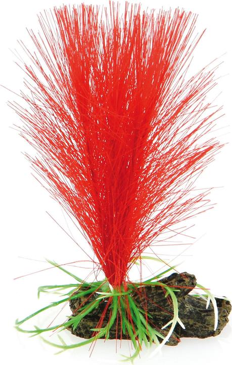 Image du produit Amazonas Fantasy Plant Nano AT 10 (Décoration, autres éléments)