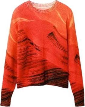Actual product image Desigual Vaughan (XXL)