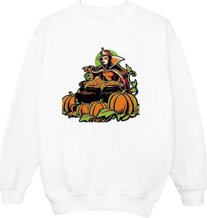 Image du produit Disney - Sweat - Homme (S)