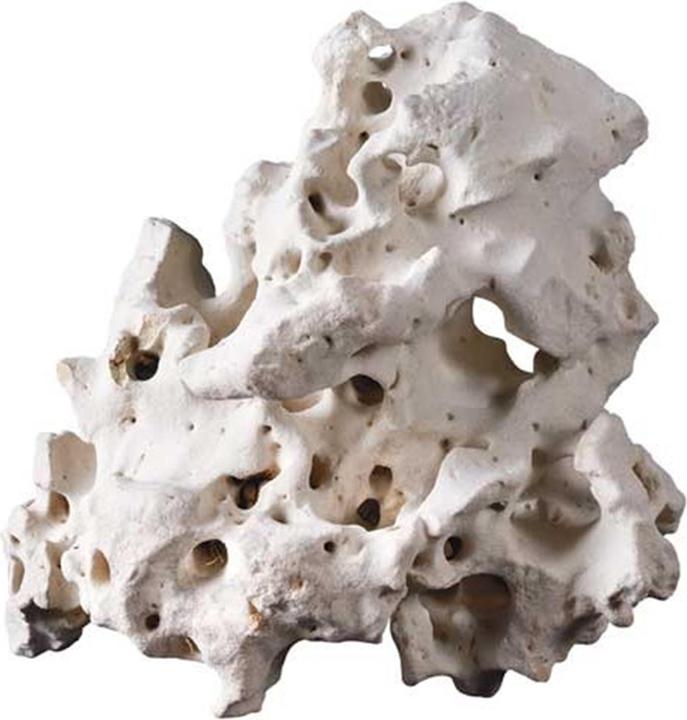 Actual product image Dohse Perforated rock (Embellishment, Stone)