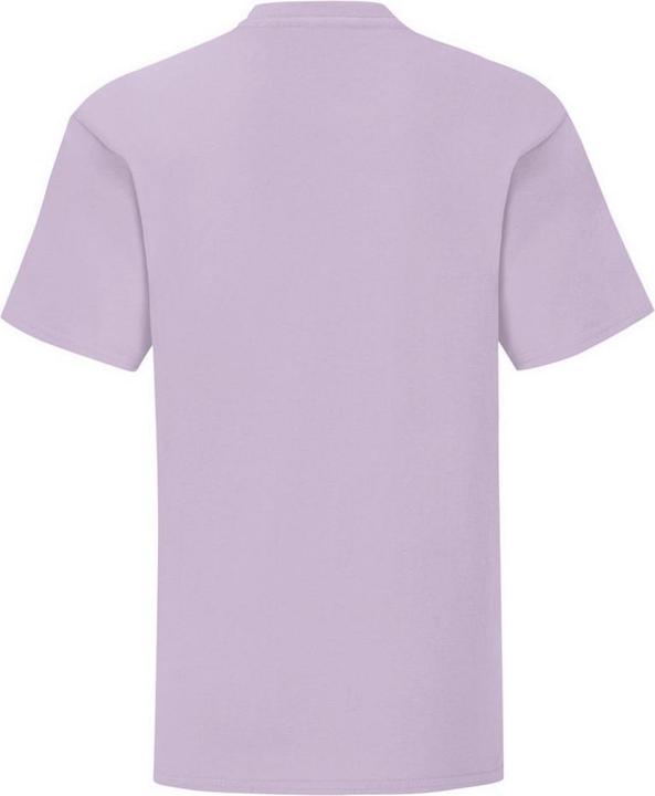 Actual product image Fruit of the Loom Childrens/Kids Iconic T-Shirt (152)