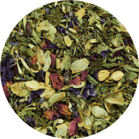 Actual product image Terra Canis Herbal heroes Encourager against restlessness/stress (Adult)