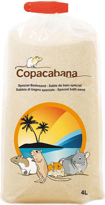 Actual product image Copacabana Special Bathing Sand (2.70 kg, Sand)