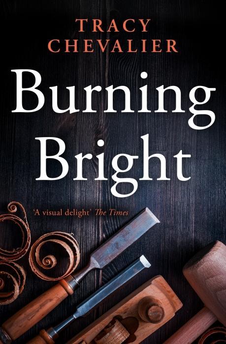 Immagine prodotto Burning Bright (Inglese, Chevalier Tracy, 2008)