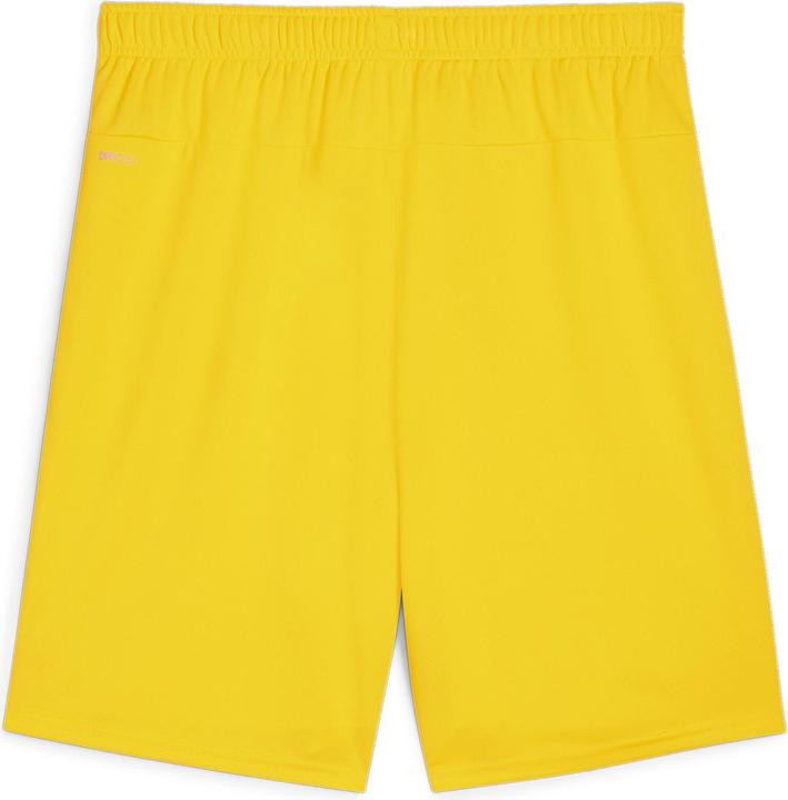 Image du produit Puma teamGOAL Short (3XL)
