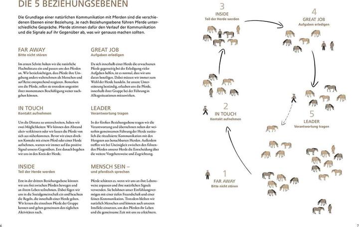Immagine prodotto Kosmos Im Gespräch mit wilden Pferden (Tedesco, Marc Lubetzki, 2022)