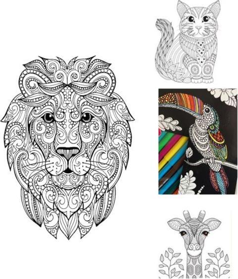 Actual product image Craft Poster for the search term: "velvet colours"