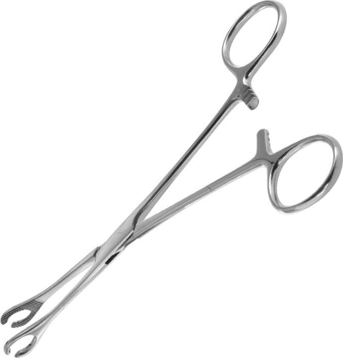 Actual product image Star Piercing Pennington Zange Oval offen (without brass, Surgical steel 316L)