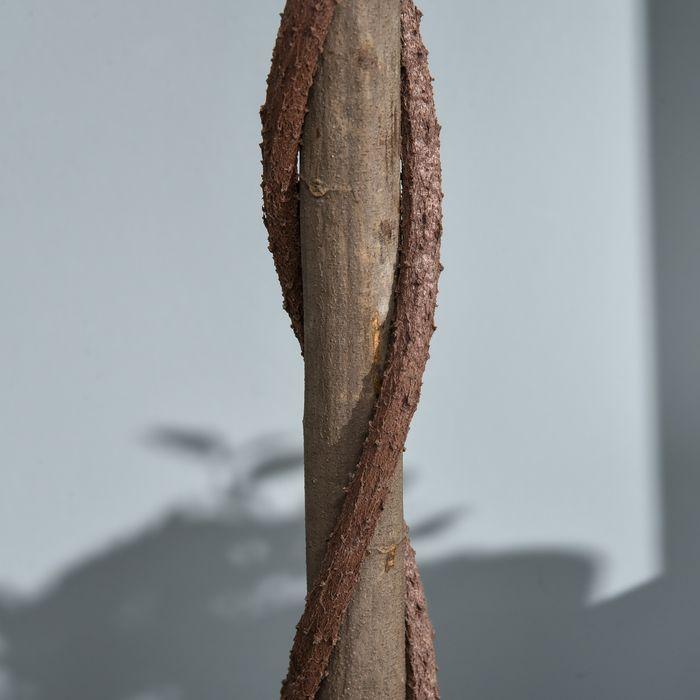Image du produit Swisshandel24 2er-Set Künstlicher Lorbeerbaum 120cm Kunstpflanzen im Zementtopf, Zimmerpflanze (120 cm)