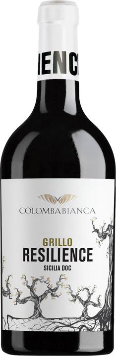 Image du produit Colomba Bianca Resilience Grillo Sicilia DOC (2023)