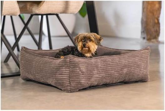 Productafbeelding Designed by Lotte Geribbeld (Hond)