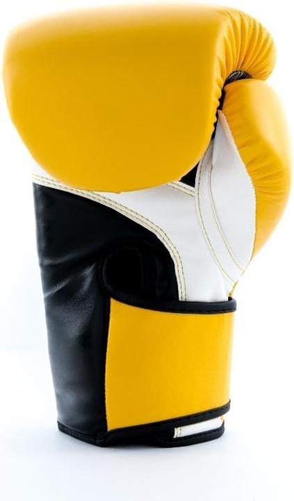 Image du produit UFC PRO Fitness Training Glove (8 OZ)