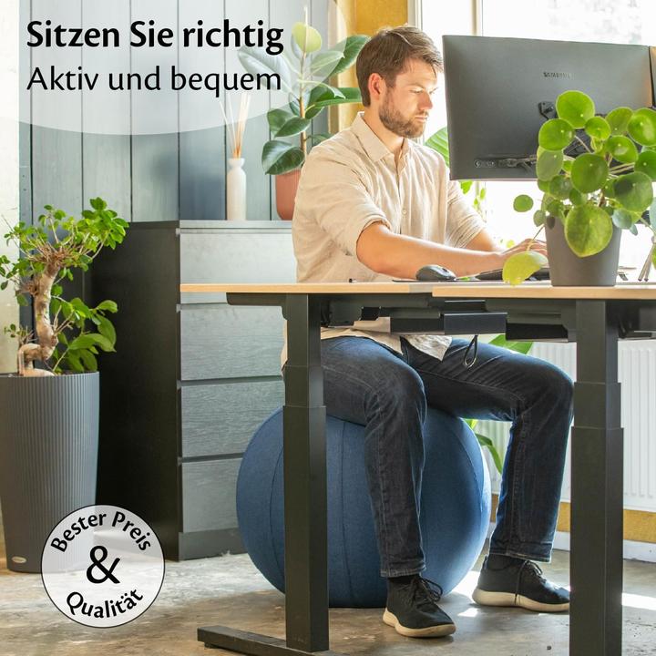 Produktbild Backerz Ergonomischer Sitzball mit waschbarem Leinenbezug (65 cm)