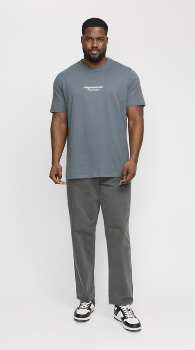 Immagine prodotto Jack & Jones Jorvesterbro Tee Ss Crew Neck Noos Pls (XXL)