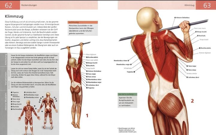 Actual product image Das Anatomie-Buch der Fitness (German, Ken Ashwell, 2014)