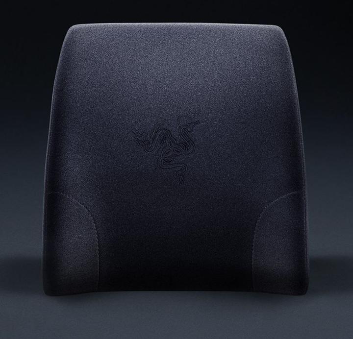 Actual product image Razer Lumbar Cushion