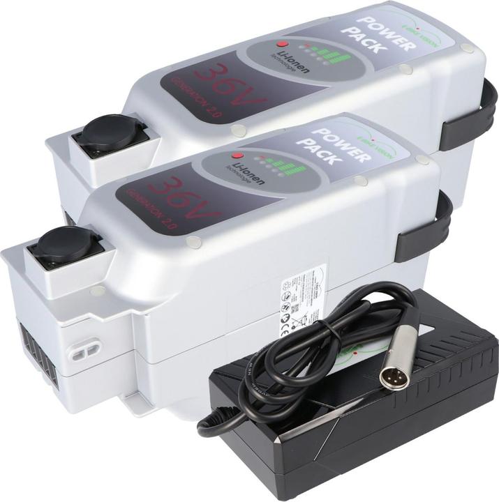 Actual product image E-Bike-Vision 2 pcs. E-bike battery 36V 17Ah 612Wh Panasonic Deluxe drive system incl. quick charger (612 Wh, E-Bike battery)